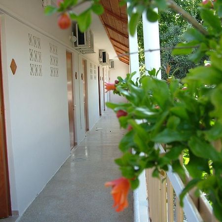 George'S Apartment Agia Marina  Zimmer foto