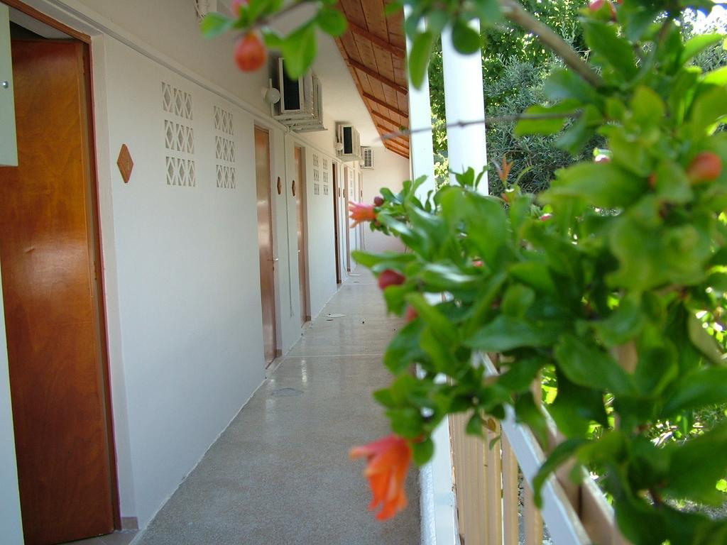 George'S Apartment Agia Marina  Zimmer foto